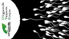 Sperm Sayısı ve Kalitesi Nasıl Artırılır?